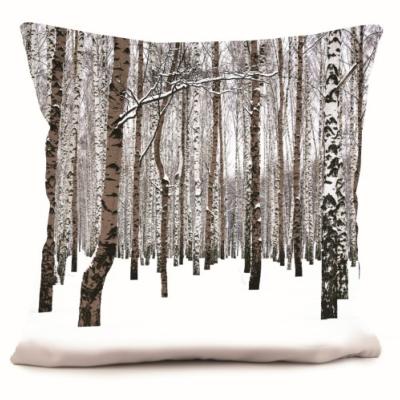 Coussin 40 x 40 forêt